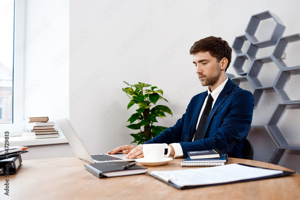 Young successful businessman sitting at laptop, office background. Young successful businessman sitting at laptop, office background.