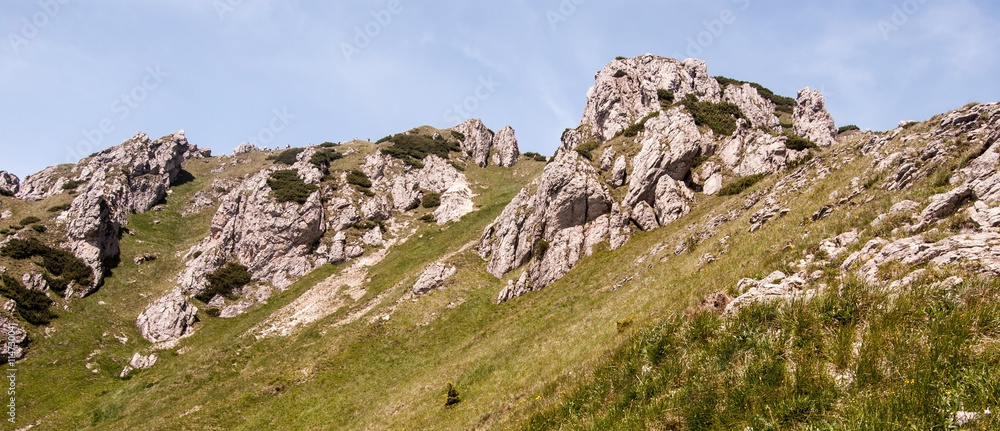 mountain meadow and dolomitian rocks with clear sky on Velky Rozsutec hill in Mala Fatra mountain range in Slovakia