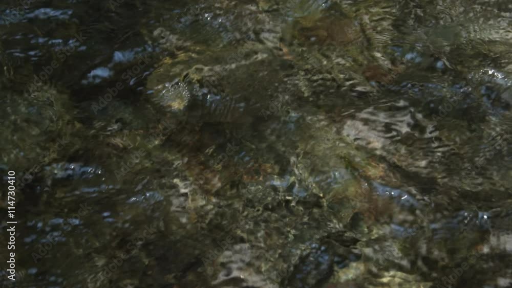 A fast-flowing shallow stream above a rocky bed A fast-flowing shallow stream above a rocky bed