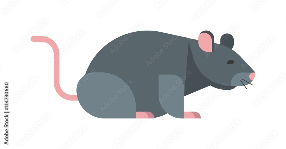 Rat mouse isolated on white. Wild rodent animal mouse rat vector character.  Cute little rat or mouse fur tail domestic paw. Funny fluffy cartoon nature  animal character icon. Rodent animal mammal. Stock