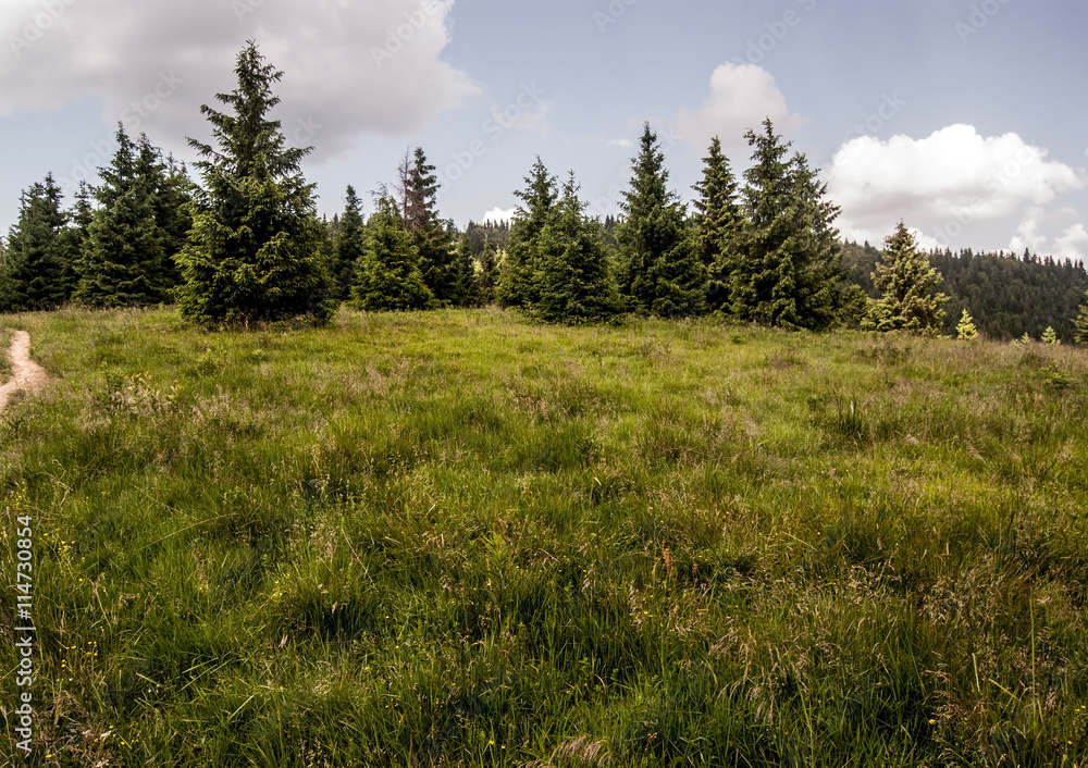 Medzirozsutce mountain pass between Maly Rozsutec and Velky Rozsutec hills in Mala Fatra mountains with meadow and trees Medzirozsutce mountain pass between Maly Rozsutec and Velky Rozsutec hills in Mala Fatra mountains with meadow and trees