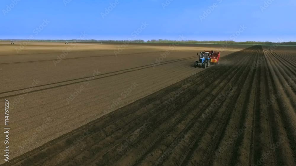 An Aerial View of a Tractor Planting Potatoes in the Fertile Fields of the Farm in the Spring.The Introduction of Fungicides An Aerial View of a Tractor Planting Potatoes in the Fertile Fields of the Farm in the Spring.The Introduction of Fungicides