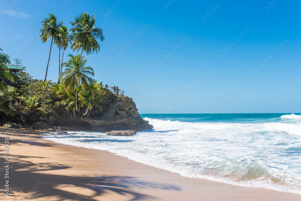 Wild caribbean beach of Manzanillo at Puerto Viejo, Costa Rica Wild caribbean beach of Manzanillo at Puerto Viejo, Costa Rica
