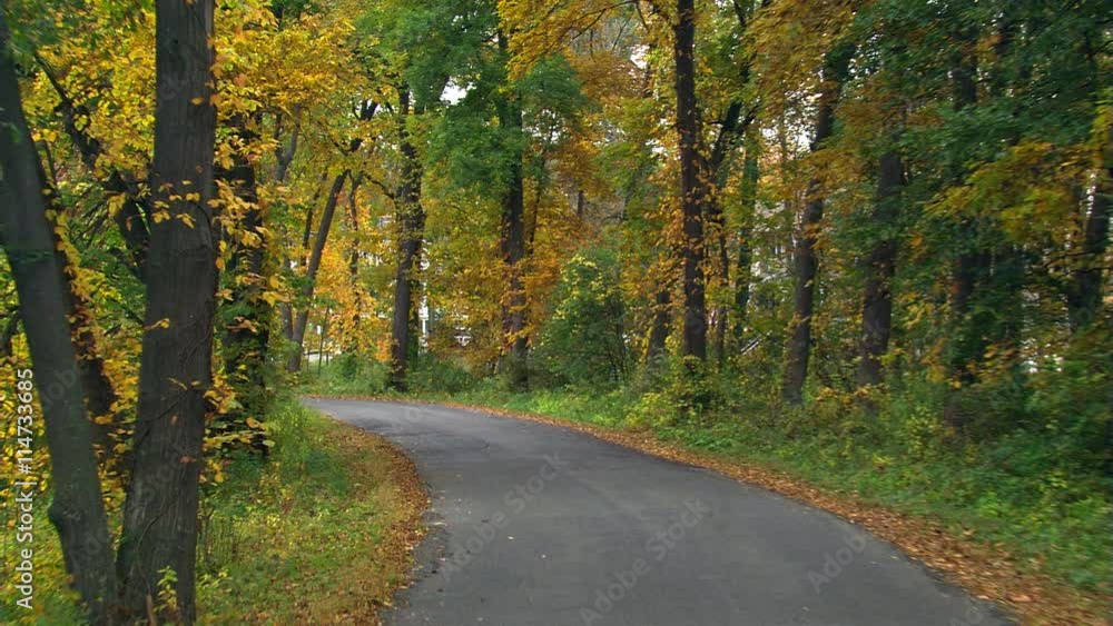 Rural residential lane through woods in autumn colors Rural residential lane through woods in autumn colors