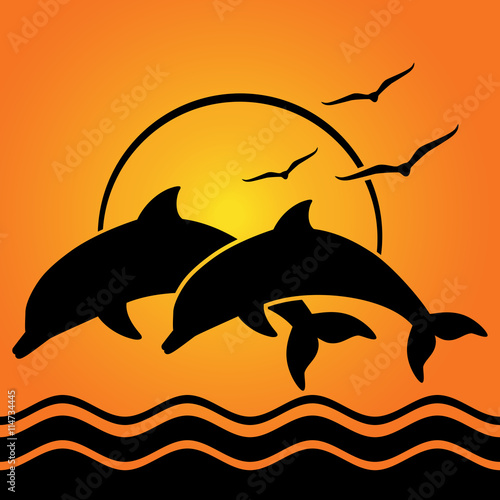 dolphin silhouettes on sunset background