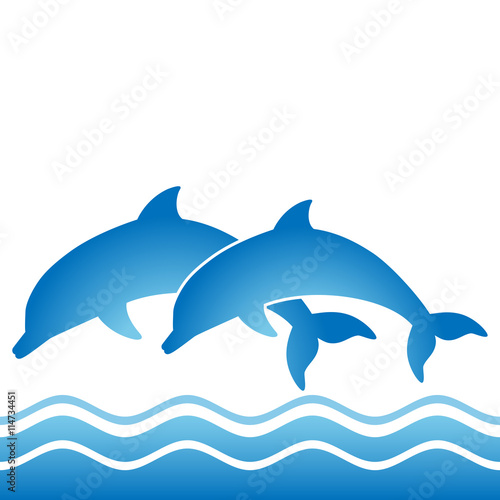 two jumping dolphins