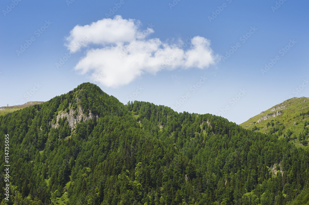 Mountain peaks in the summer