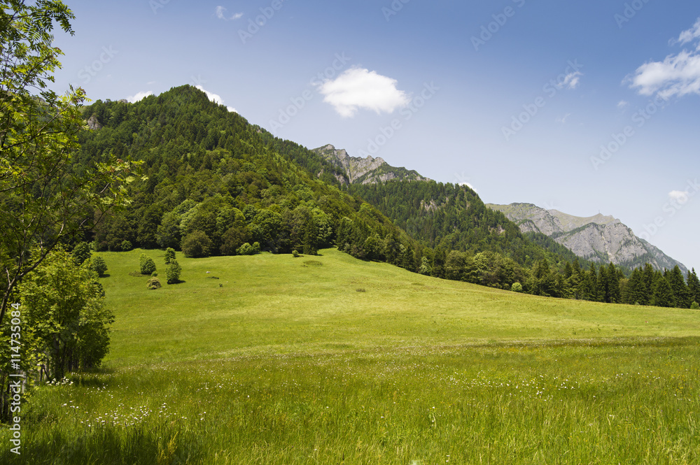 Mountain landscape on a summer day