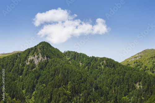 Mountain peaks in the summer