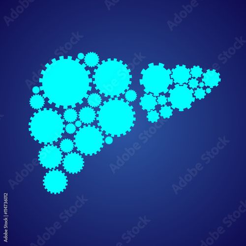 Abstract drawing of a liver