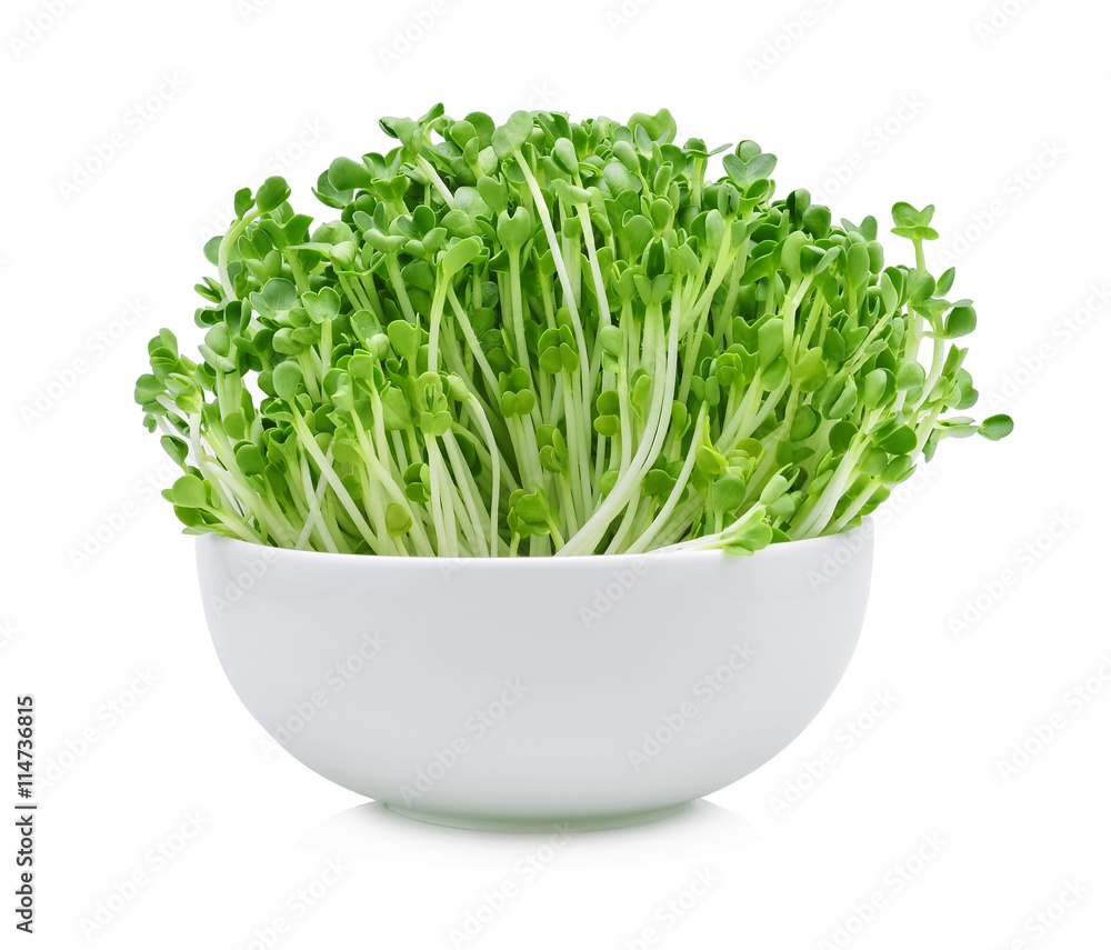 heap of alfalfa sprouts on white background heap of alfalfa sprouts on white background