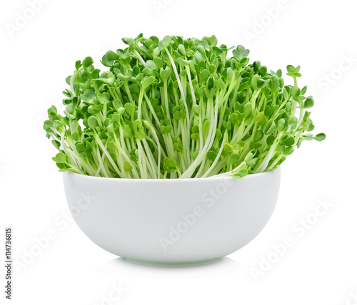 Foto heap of alfalfa sprouts on white background