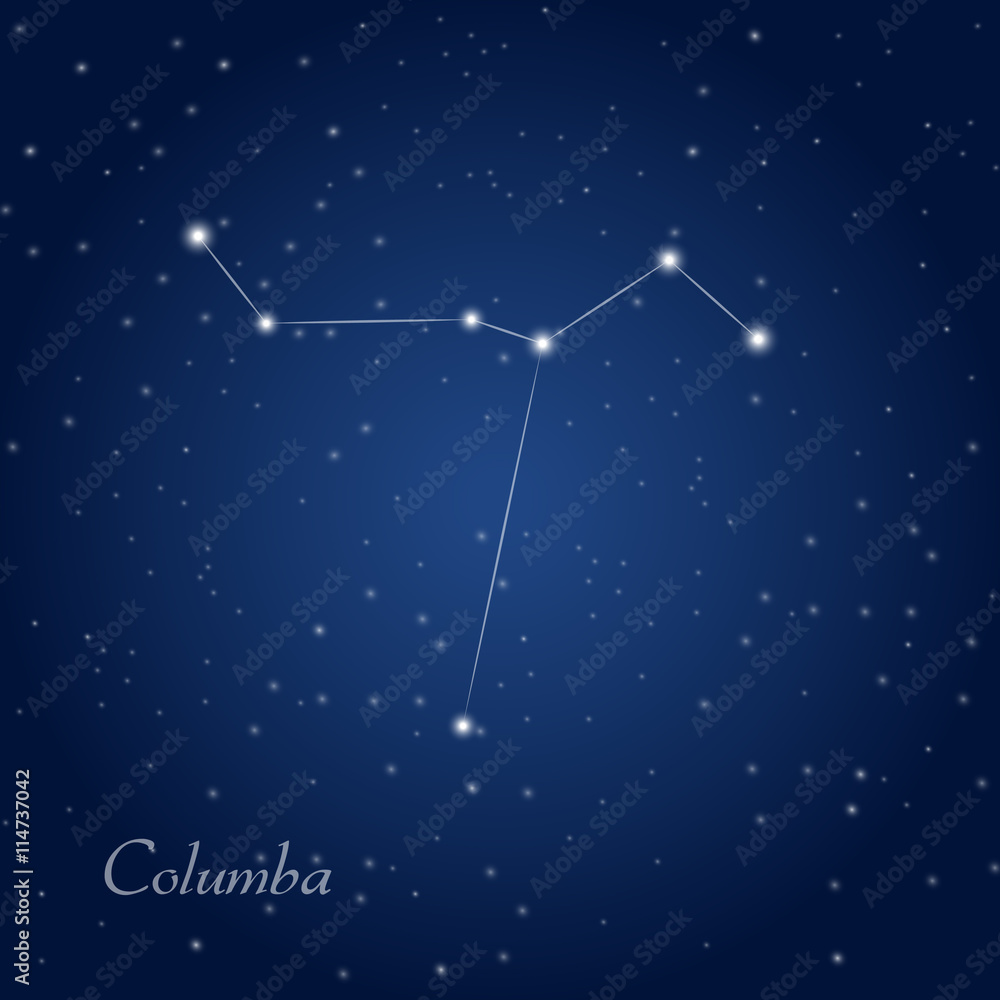 Columba, dove constellation at starry night sky Columba, dove constellation at starry night sky