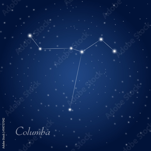 Columba, dove constellation at starry night sky
