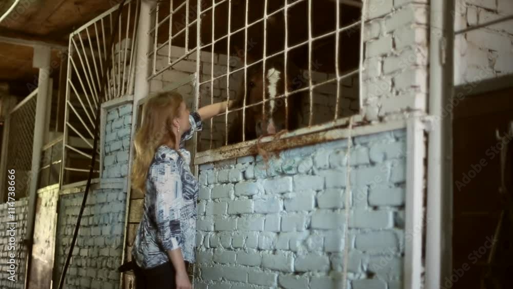 The girl in the barn with the horses, she caresses and petting the horses
The girl in the barn with the horses, she caresses and petting the horses