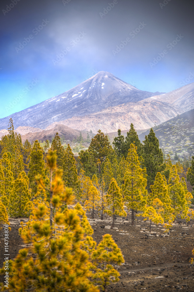 El Teide National Park El Teide National Park