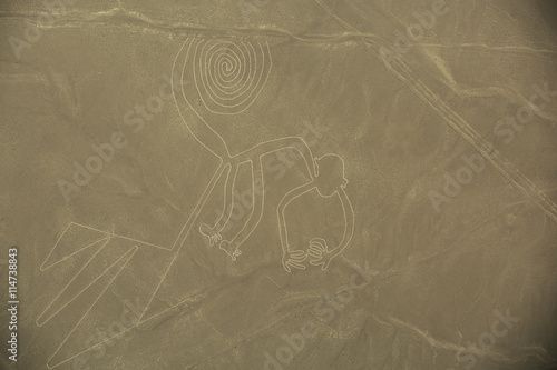 Nazca Lines,  The Monkey photo
