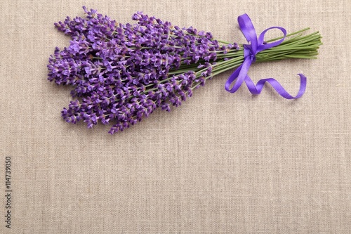 Fototapeta Naklejka Na Ścianę i Meble -  Lavender.