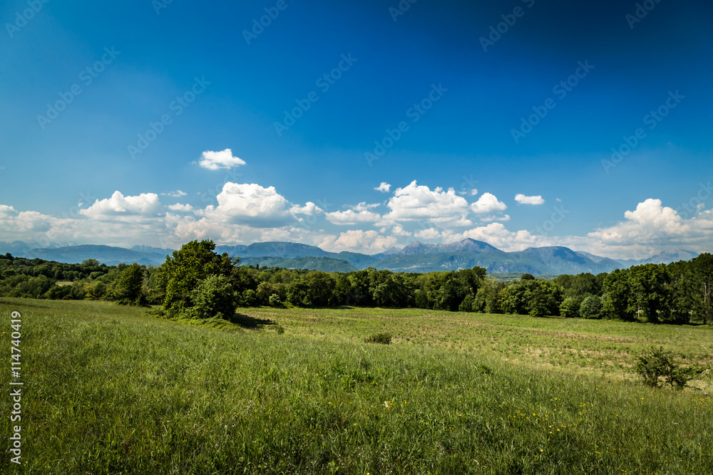 Fototapeta premium Fields of Italy in a spring day