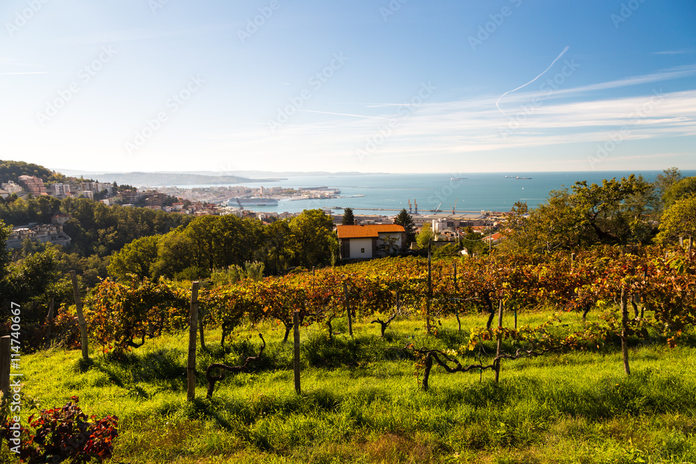 Fototapeta premium The gulf of trieste in a sunny day