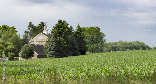 Pennsylvania Cornfield and Old Stone Barn