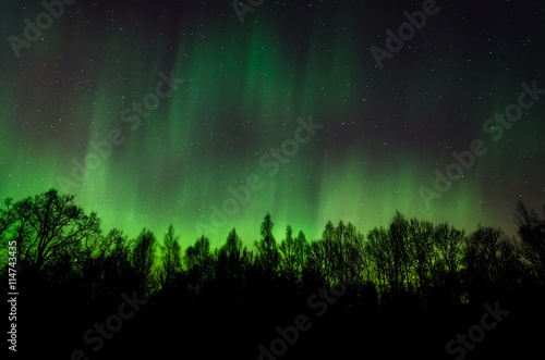 Beautiful photo of Northern Lights in Estonia sky