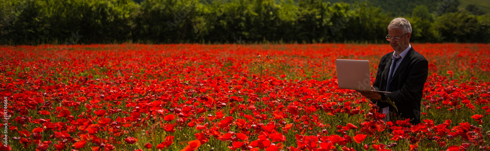 Man at work in a field of poppies