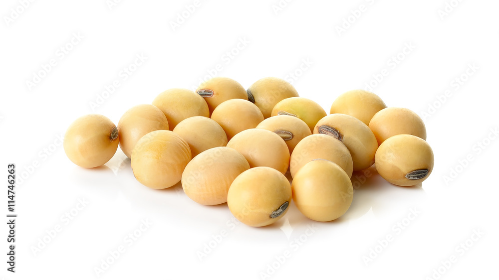 soy beans isolated on the white background soy beans isolated on the white background