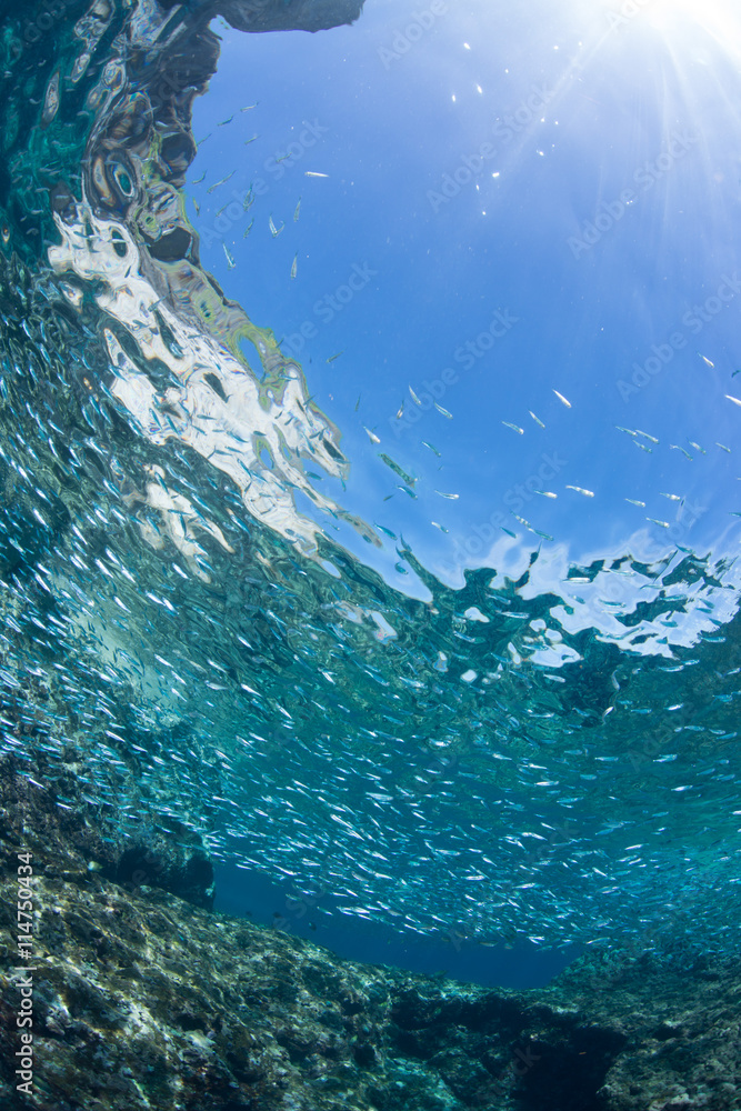 Fototapeta premium Cave diving in sunny day