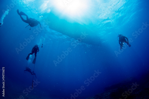 Diver © divedog