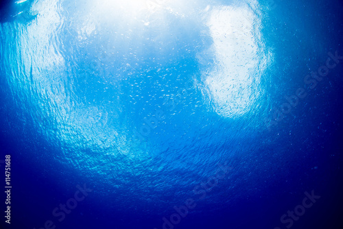 sunlights of underwater