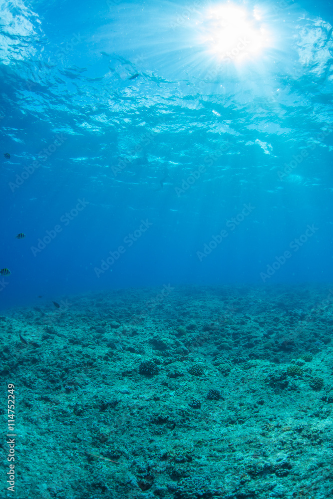 sunlights to underwater