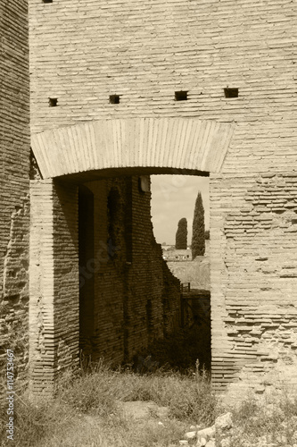 Canvas Print Rome,Italy,Palatine Hill.