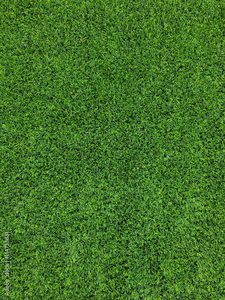 Fototapeta premium Natural green background