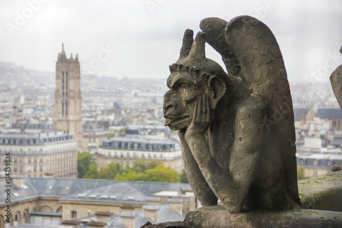 Gargoyle on the top of Notre Dame de Paris, panorama of Paris 