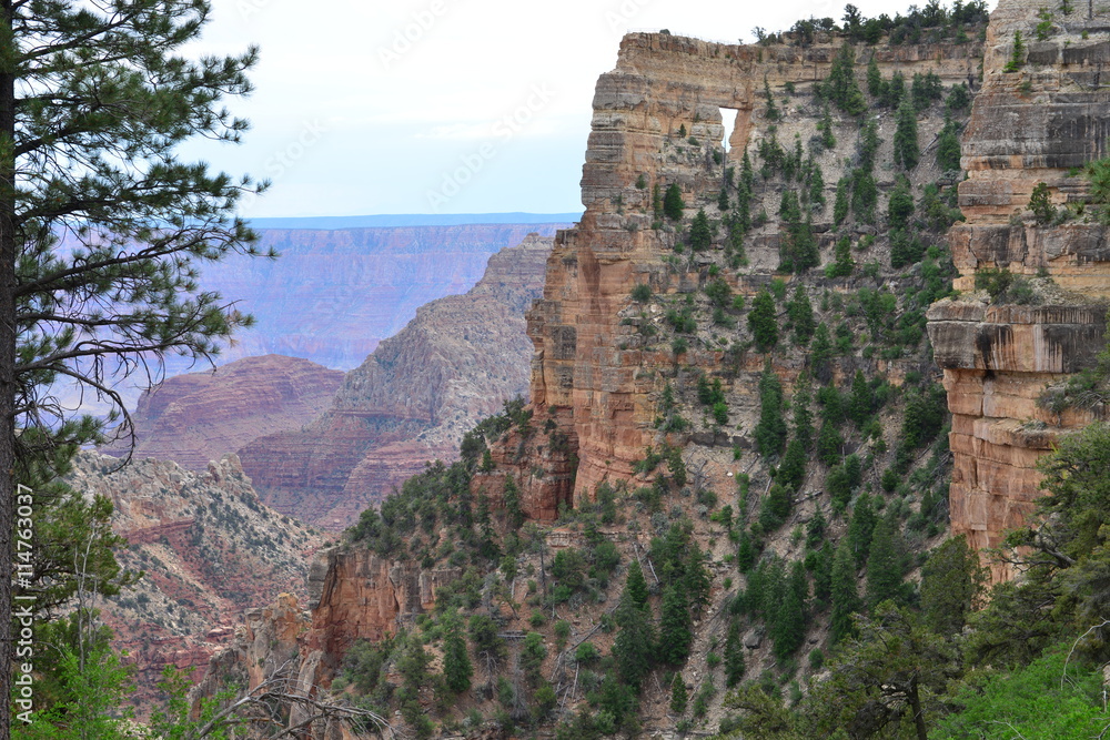 The North Rim of the Grand Canyon in June.