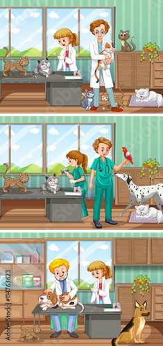Vets working in the animal hospital