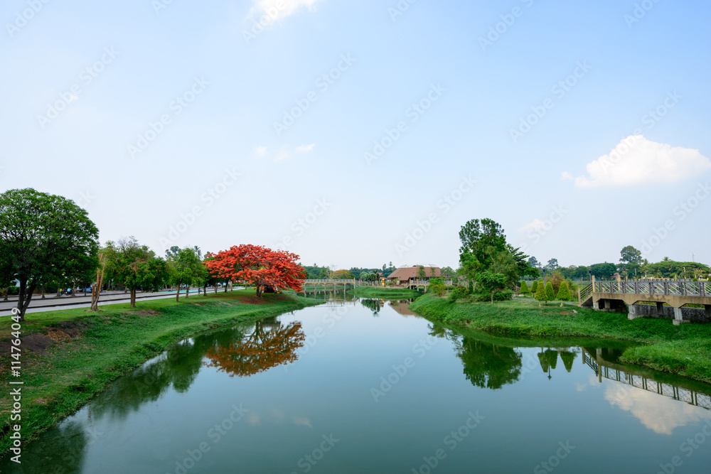 Fototapeta premium Garden with a small lake landscape