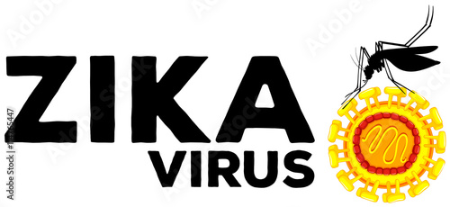 Zika virus caused by mosquito