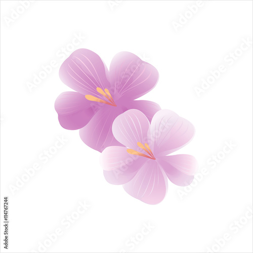 Flowers background. Flowers design. Vector abstract illustration. Light-Pink Sakura blossoms background. Vector. 