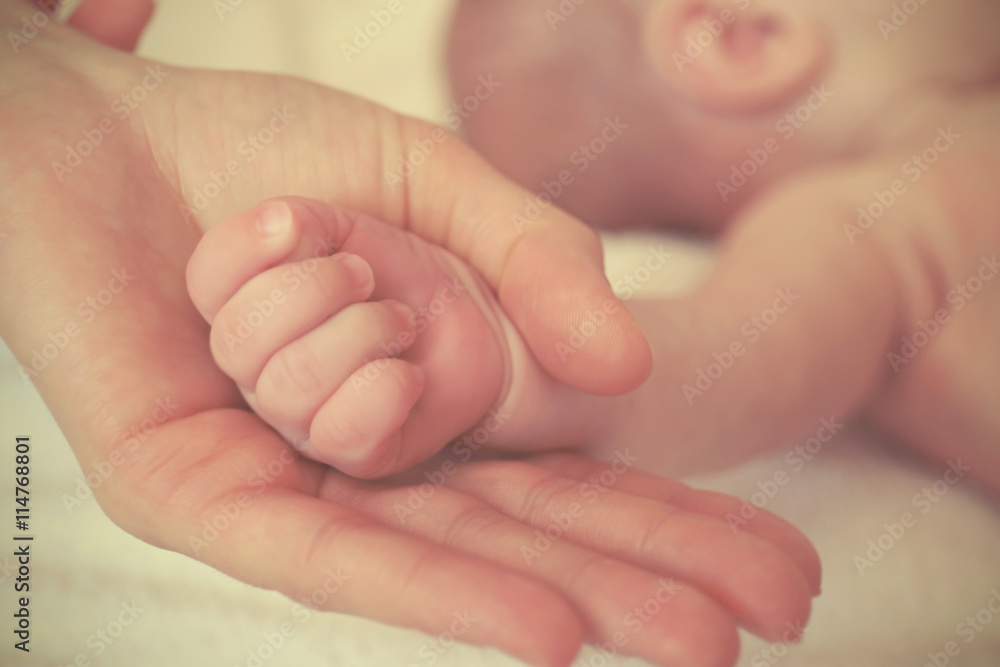 Child hand holding parent hand, closeup Child hand holding parent hand, closeup