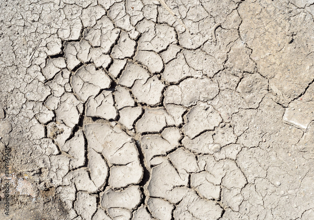 Dry Mud Cracked Riverbed Dry Mud Cracked Riverbed