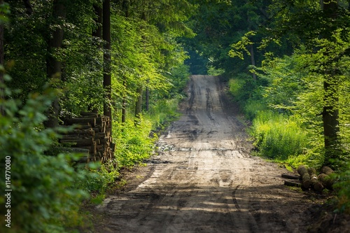 Sandy forest road at summer © milosz_g