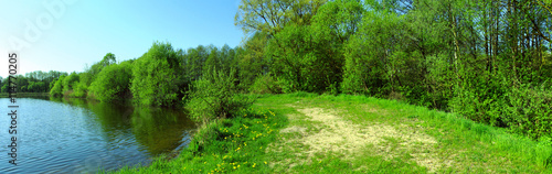 Panoramic image of the forest on the lake