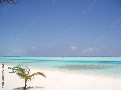 White topical beach in Maldives