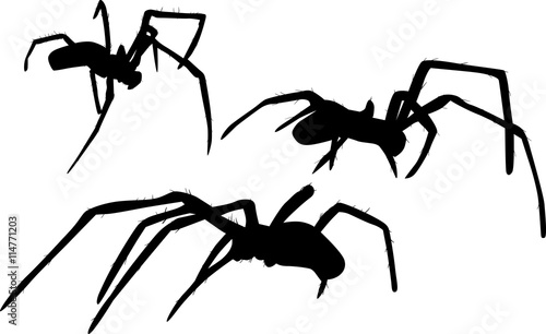 three small black spiders illustration