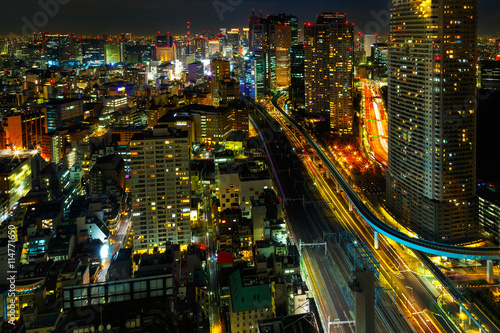 View of Tokyo city at night.