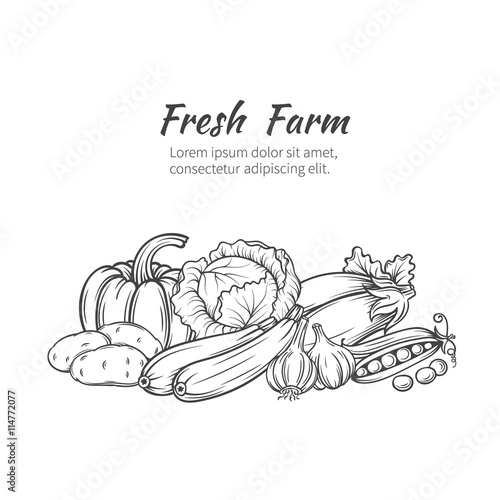 hand drawn vegetables