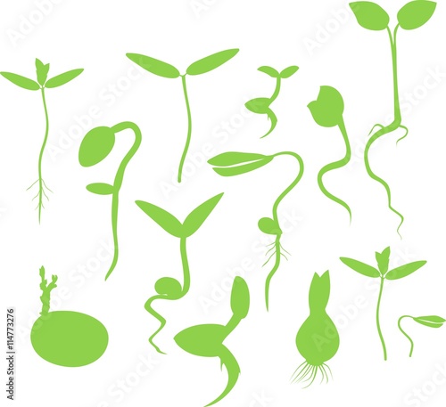set of silhouettes of sprouts