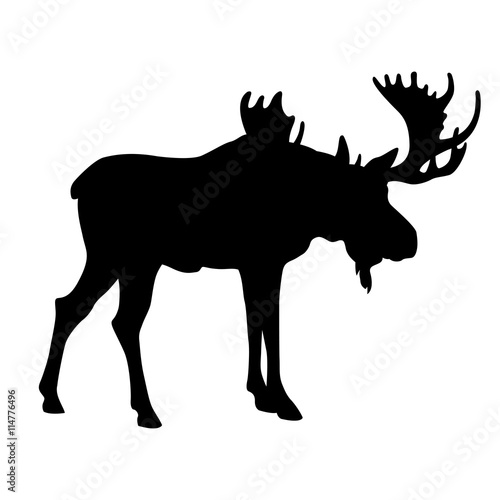 adult moose go black silhouette 